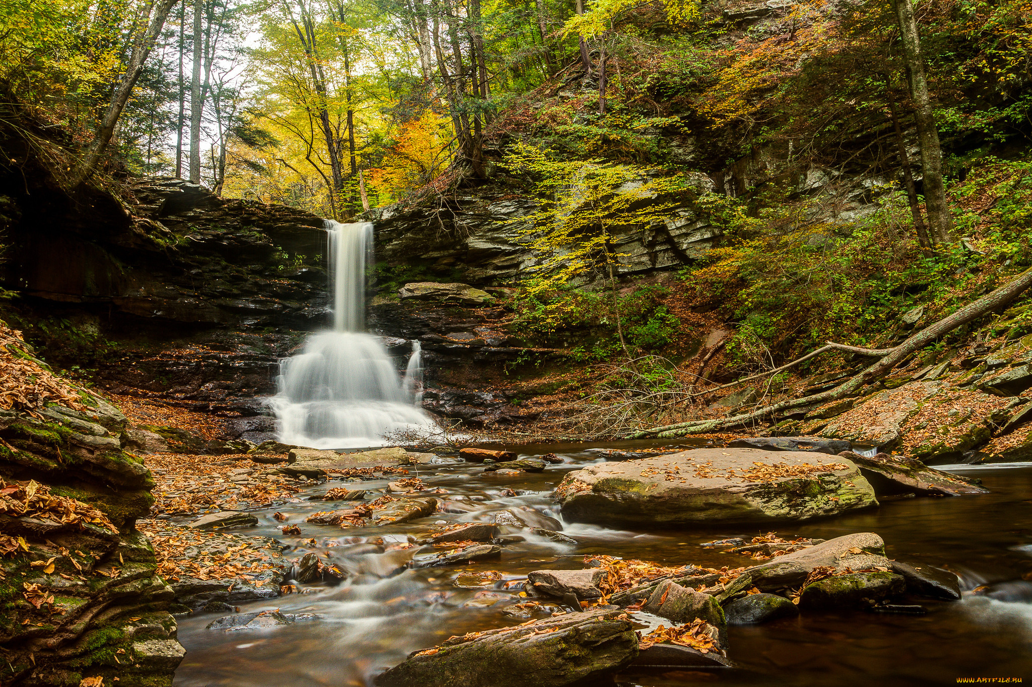 sheldon, reynolds, falls, ricketts, glen, state, park, pennsylvania, , , , , , , 